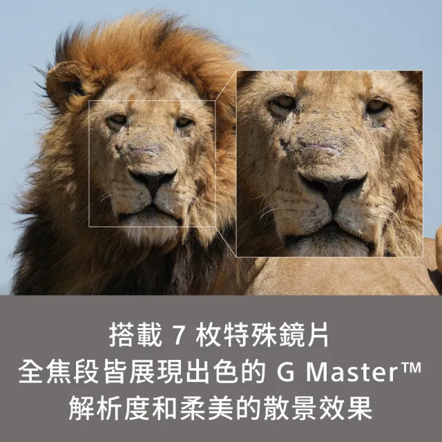 【SONY 索尼】SEL100400MC G Master 100-400mm 恆定超望遠變焦鏡頭 (公司貨 保固24個月)
