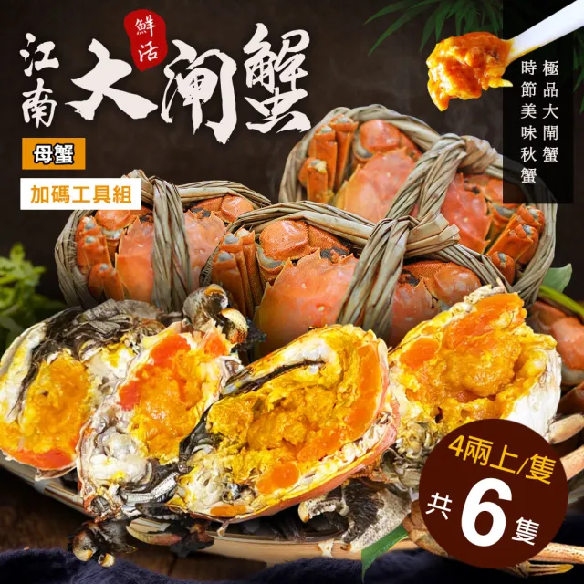 【優鮮配】母4兩上大閘蟹 6隻/贈工具組/江南大閘蟹