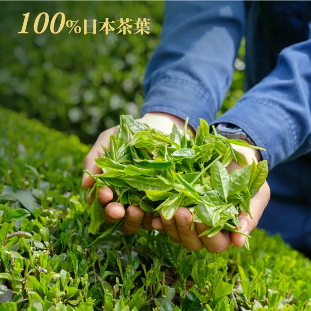 【IRIS】RYOKU綠綠茶2箱(500mlx48入) (日本境內版/官方直營/日本進口/日本茶葉/綠茶/茶葉/日本茶/即飲茶)