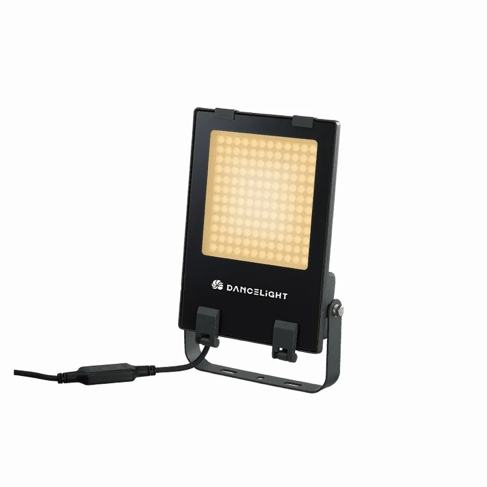 【DanceLight 舞光】100W 凱薩LED泛光燈 投光燈 IP66防水 戶外照明 工程照明 高亮度 白光 黃光