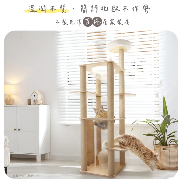 【貓本屋】台灣製 雙太空艙方形實木貓跳台(附劍麻抓板/球)