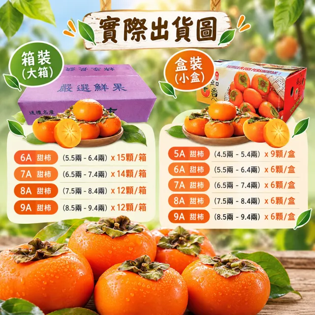 【初品果】達觀部落余大哥6A高山甜柿大禮盒15顆x1箱(每顆230g±10%_年節禮盒_產地直送)