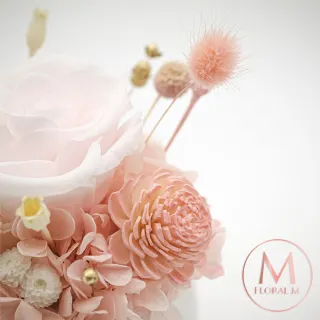 【Floral M】阿爾貝拉永生花禮贈香氛油(乾燥花/永生花/情人節花禮/告白禮物/生日禮物/開幕花禮/居家擺飾)