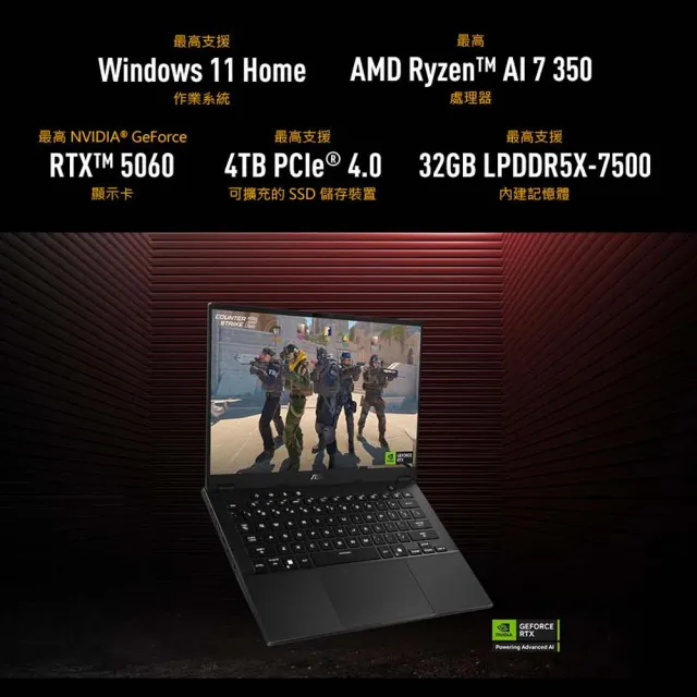 【ASUS 華碩】手把組★14吋GeForce RTX5060 Ryzen AI 9電競筆電(FA401GM-0021A465H/465/16G*2/1TB/W11)