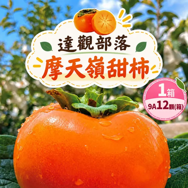 【初品果】台灣產脆甜 9A高海拔摩天嶺富有甜柿 特大顆12顆禮盒(約350g/顆 水果禮盒 產地出貨 柿子)