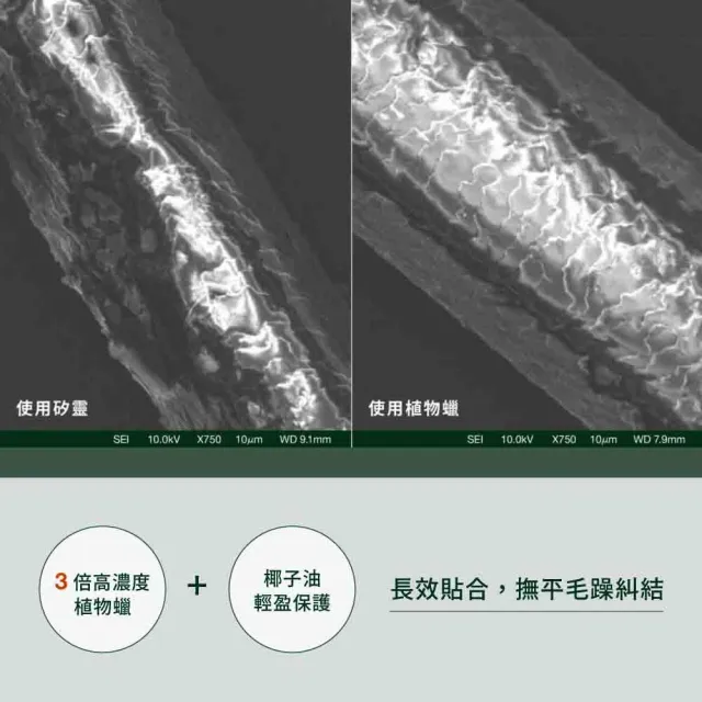 【greenvines 綠藤生機】COSMOS修護承諾洗髮精 350mlx2(歐盟有機認證 專為受損髮打造)