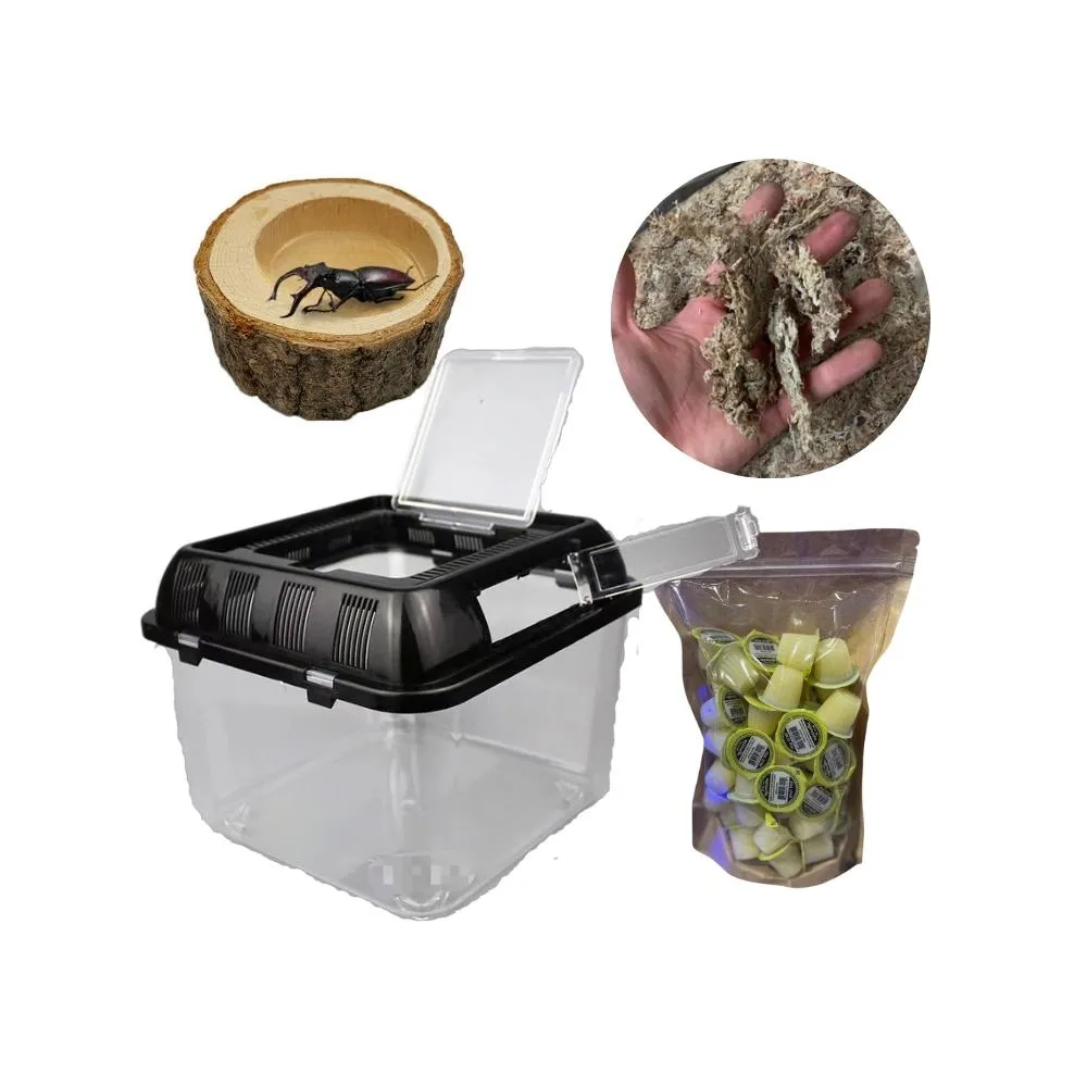 【Petvibe寵趣生活】甲蟲獨角仙飼養箱大全配30入果凍套組(甲蟲果凍/高蛋白果凍/寵物果凍/甲蟲/獨角仙)