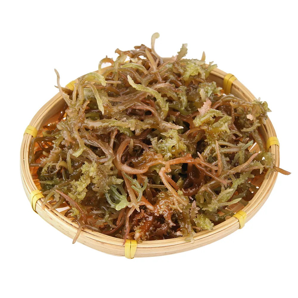 【愛上海鮮】澎湖野生珊瑚草12包(150g±10%/包 冷凍蔬菜)