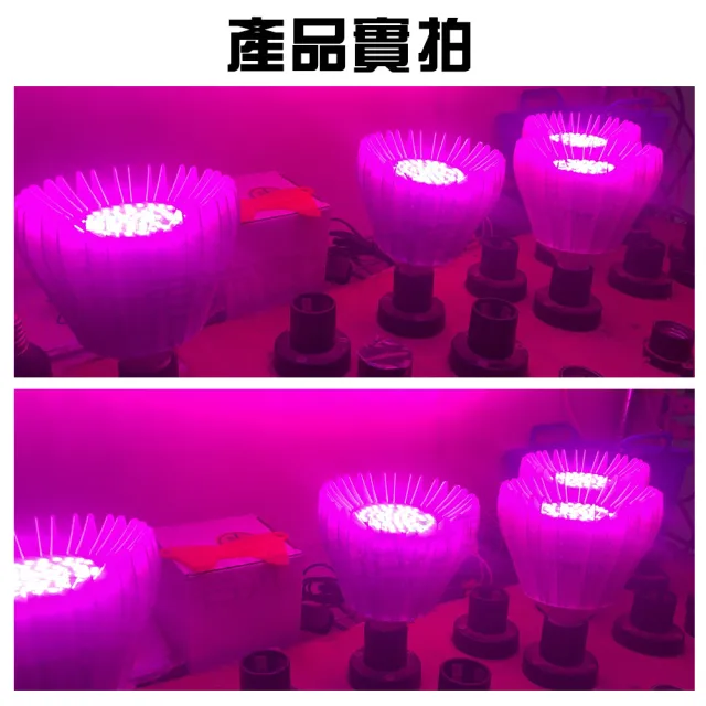 【JIUNPEY 君沛】40W 紅藍混光E27植物燈泡(植物生長燈)