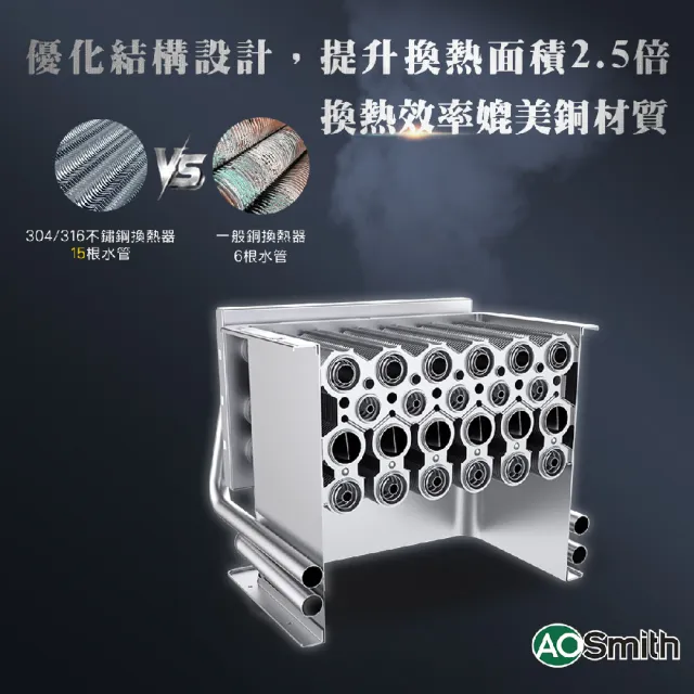 【A.O.Smith】AO史密斯 24L不鏽鋼瓦斯熱水器 JSQ48-ST24T NG1/FE式 (含基本安裝 僅適用天然氣)