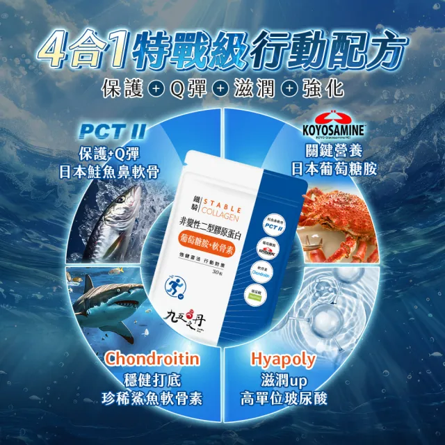 【JIU WU DAN 九五之丹】鐵騎 非變性二型膠原蛋白+葡萄糖胺+軟骨素 2包共60粒(世界品質金獎PCT-II)