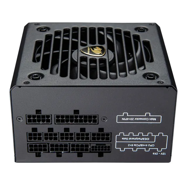 【COUGAR 美洲獅】金牌 GR 750W電源供應器(ATX3.1/全模組/5年保固)