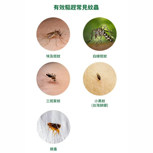 【福來朗】PMD森寧天然防蚊液80ml_4入組｜防蚊液｜防蚊噴霧｜小黑蚊｜長效防蚊｜孕婦｜幼童