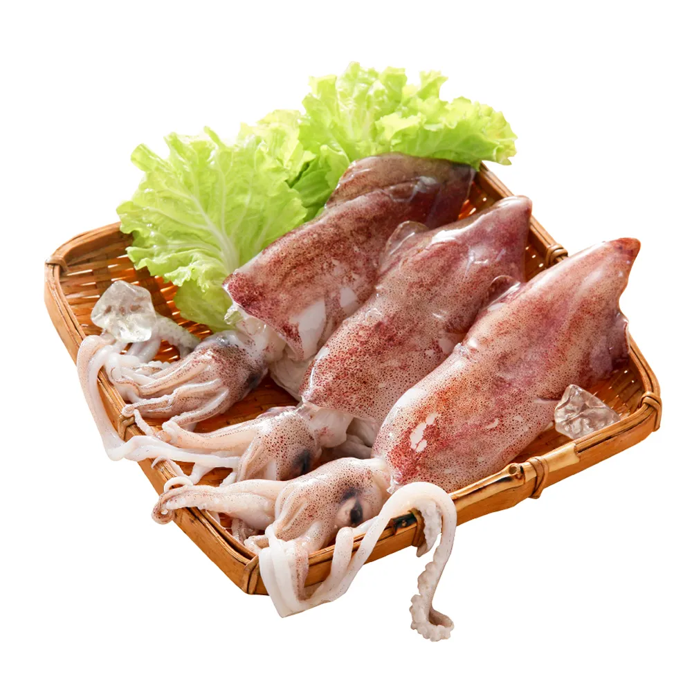 上億嚴選台灣東北角當季野生透抽