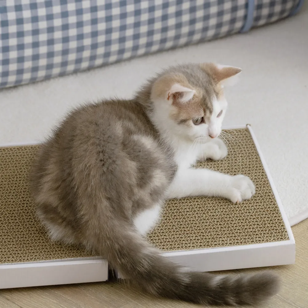 【翔仔居家】喵覓MeowMie聯名 貓臉書-貓抓板補充包3入(瓦楞紙/紙板/磨爪/耐磨/可替換/寵物貓咪/台灣製造)