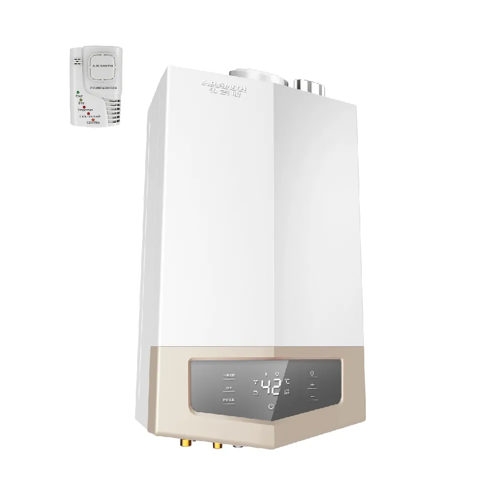 【A.O.Smith】AO史密斯 24L不鏽鋼瓦斯熱水器 JSQ48-ST24T NG1/FE式 (含基本安裝 僅適用天然氣)