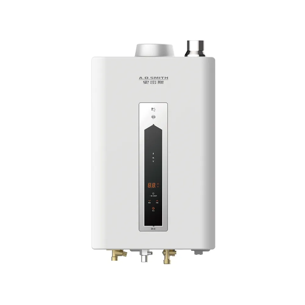 【A.O.Smith】AO史密斯 16L不鏽鋼瓦斯熱水器 JSQ31-ST16T NG1/FE式 (含基本安裝 僅適用天然氣)