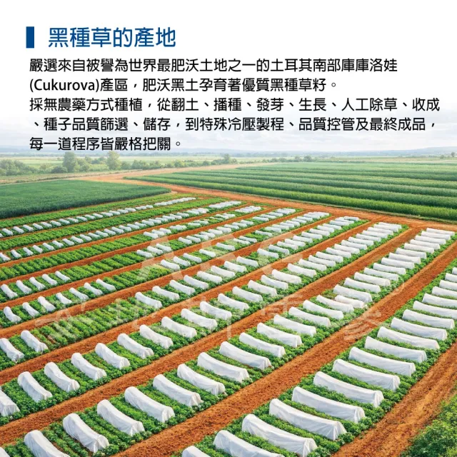 【愛善那】第一道冷壓初榨黑種草油100mlx3 共300ml(高含量『百里醌』純素食)