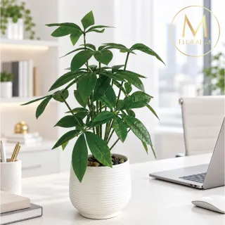 【Floral M】室內桌上型旺旺發財樹37cm仿真綠植(人造植栽/仿真樹/室內佈置/居家裝飾/桌上型植栽)