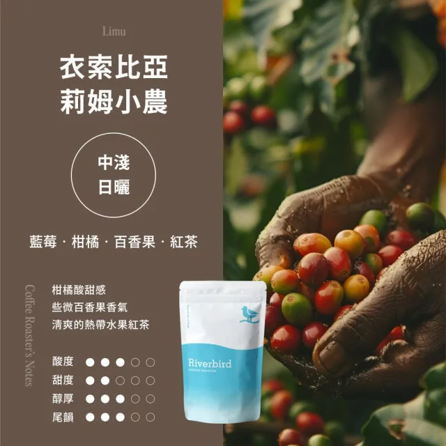 【江鳥咖啡】頂級莊園精品咖啡2磅綜合４袋組(225g/袋;皇后莊園/微微特南果/西部小農/莉姆小農;新鮮烘焙)
