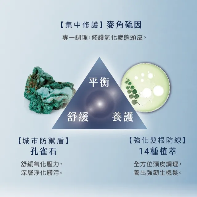 【RENATA 蕾娜塔】源生修護素750ml (官方直營 外泌體 養髮 修護 水楊酸淨化 強韌彈力 柔順光澤 保濕)