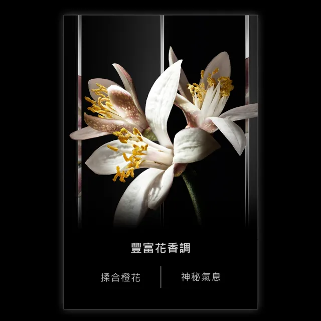 【YSL】官方直營 MYSLF 香精 40ML(木質花香調/香水/男香)