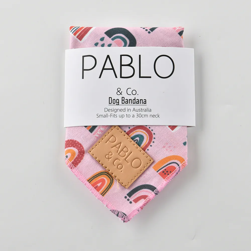 【Pablo & Co】寵物領巾 毛小孩 領巾 方巾 更美麗彩虹 S