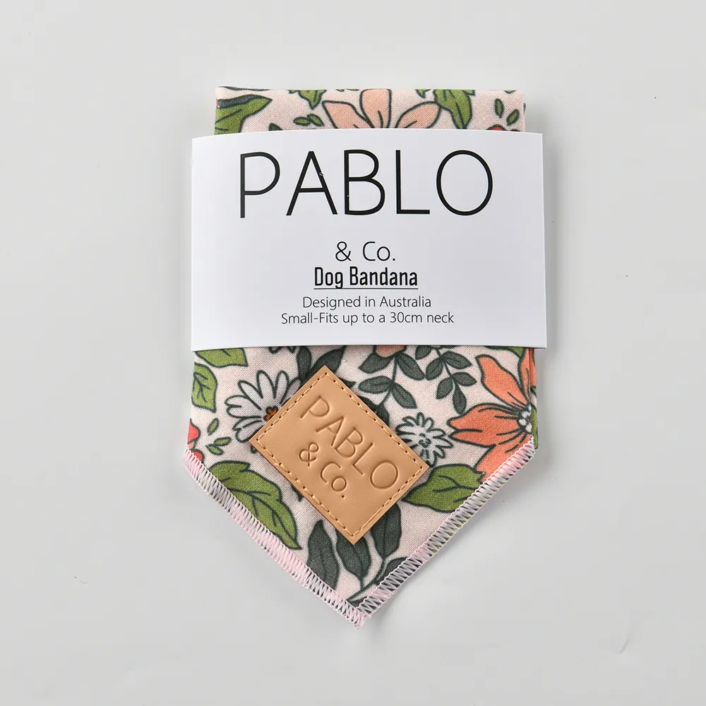 【Pablo & Co】寵物領巾 毛小孩 領巾 方巾 奶奶家花園 S