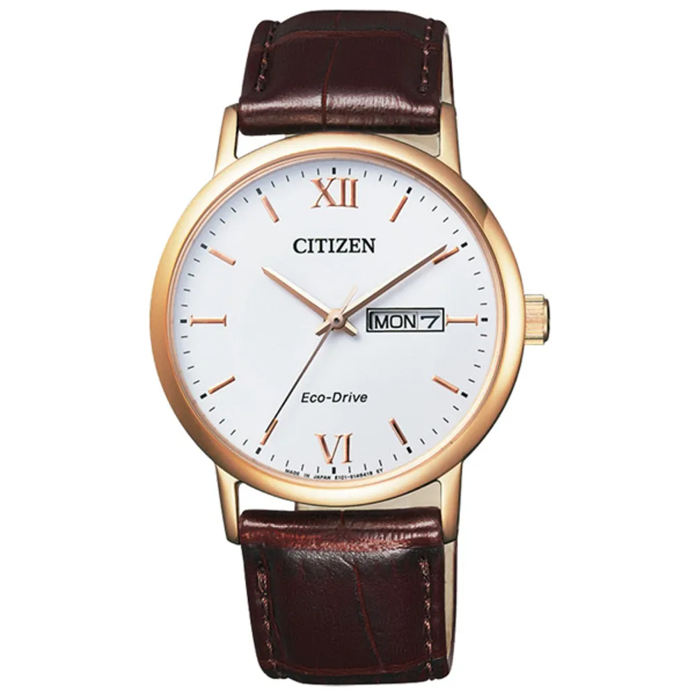 【CITIZEN 星辰】Eco-Drive 羅馬快報星日期男錶(BM9012-02A)