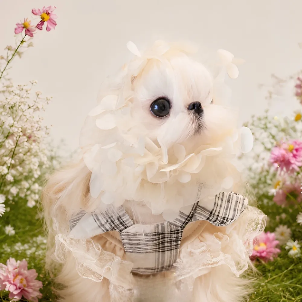 【Zoobulous 玩玩動物園】寵物耳套Snood｜花園精靈珍珠花精 (寵物耳套/長毛貓狗共用/寵物配件)
