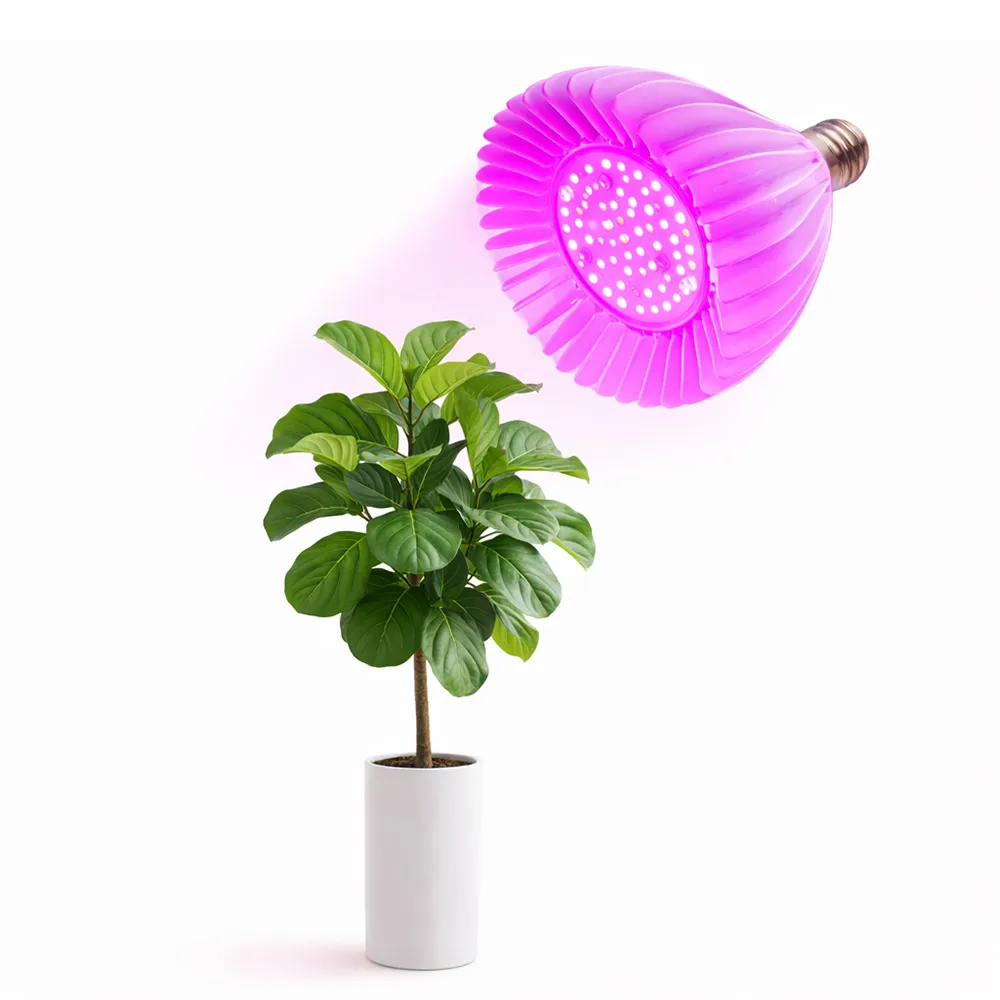 【JIUNPEY 君沛】40W 紅藍混光E27植物燈泡(植物生長燈)