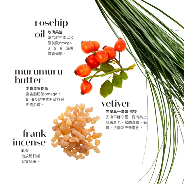 【ilapothecary】經典唇膏滾珠超值組(唇膏15gx2+精油滾珠10ml)