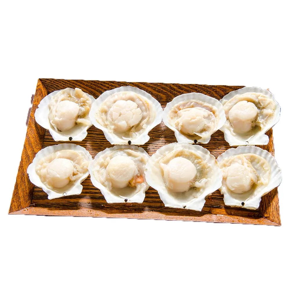 【鮮綠生活】鮮美大扇貝 共5包(300g±10%/包 約7-10顆/包)